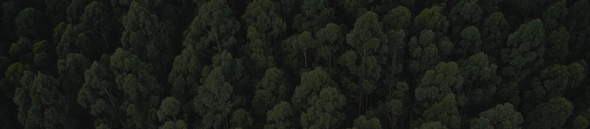 Imagem de fundo